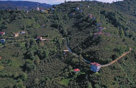 media-libraryuvazEk