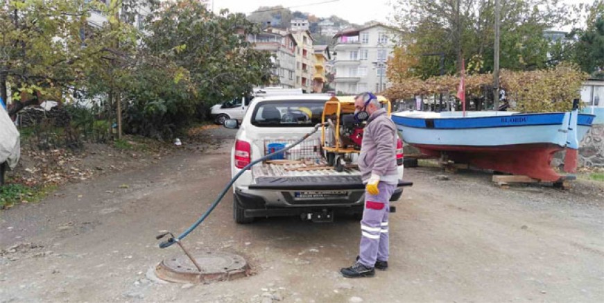 19 İLÇEDE HAŞERELERLE SIKI MÜCADELE