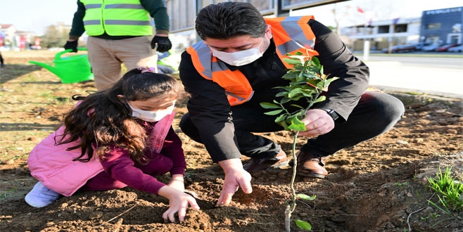 52 BİN FİDAN TOPRAKLA BULUŞUYOR