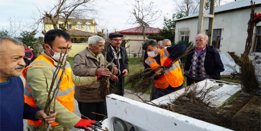 ALTINORDU BELEDİYESİNDEN YEŞİL KALKINMA SEFERBERLİĞİ