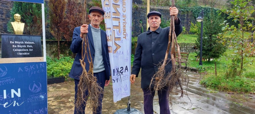 ALTINORDU’NUN GELECEĞİNE NEFES 300 BİN FİDAN TOPRAKLA BULUŞTU