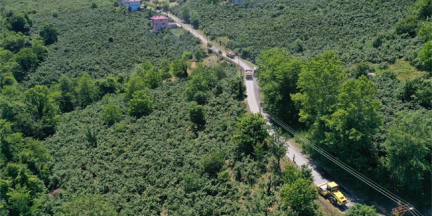 ALTINORDU’NUN MAHALLELERİNE ULAŞIM KONFORU