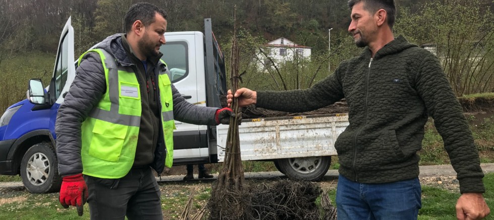 ALTINORDU’NUN YEŞİL KALKINMA SEFERBERLİĞİ DEVAM EDİYOR