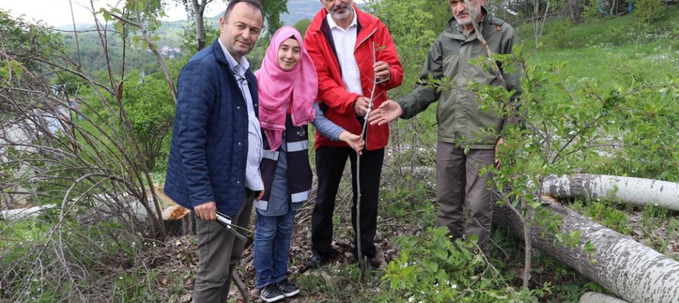 ‘AŞI ORDUSU’ SAHADA