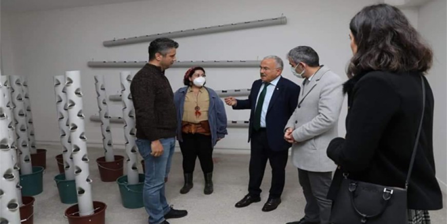 ATA TOHUMLARI ORDU’DA HAYAT BULUYOR
