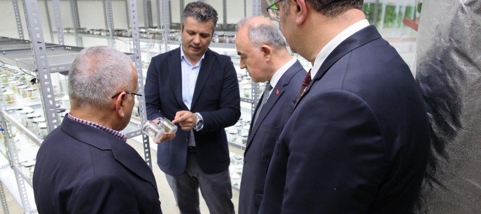BAŞKAN GÜLER: “ORDU’DA TARIMDA YENİ BİR DÖNEM BAŞLATTIK”