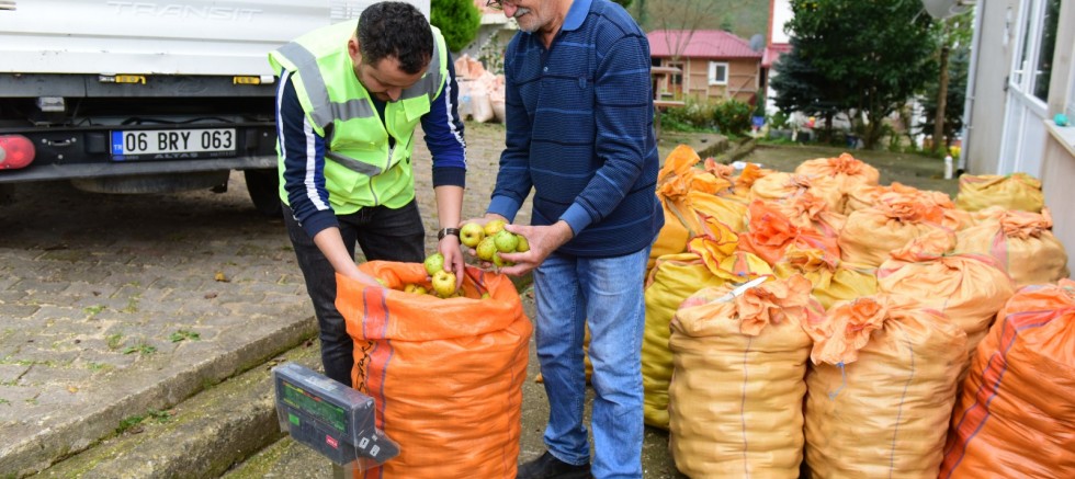 BAŞKAN TÖREN’İN O PROJESİ ÜRETİCİLER İÇİN DOĞRUDAN GELİR DESTEĞİNE DÖNÜŞTÜ