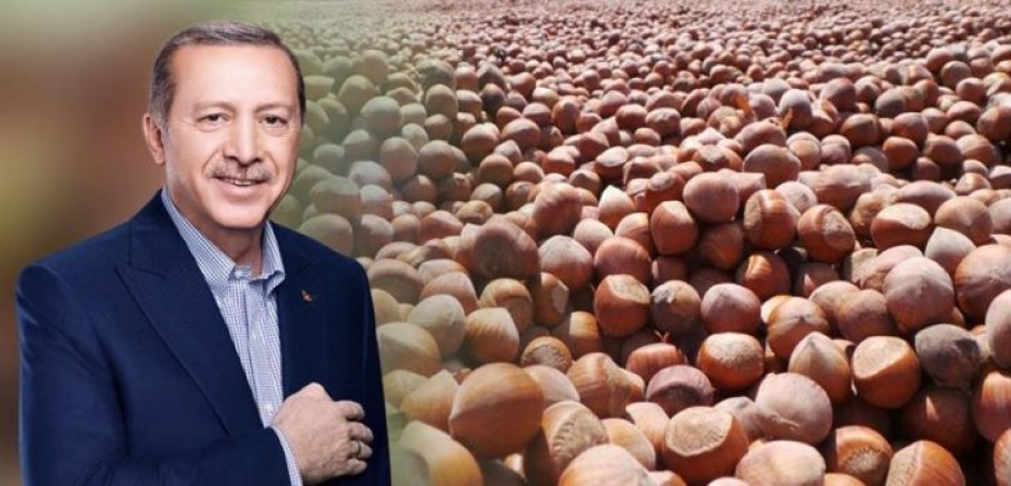 CUMHURBAŞKANI FINDIK FİYATINI AÇIKLADI