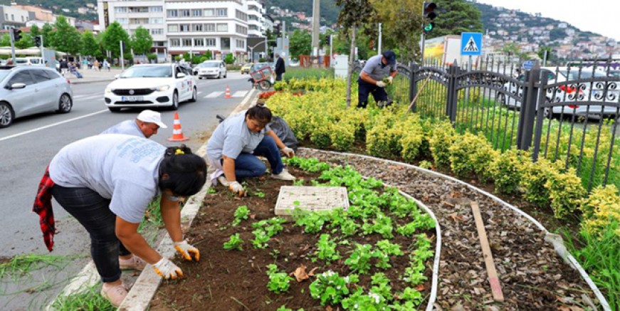 DAHA YEŞİL BİR ORDU İÇİN BÜYÜKŞEHİR İŞ BAŞINDA 