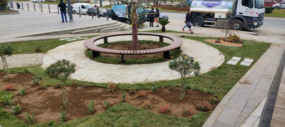 FATSA MEYDANI YEŞİLLENDİ 