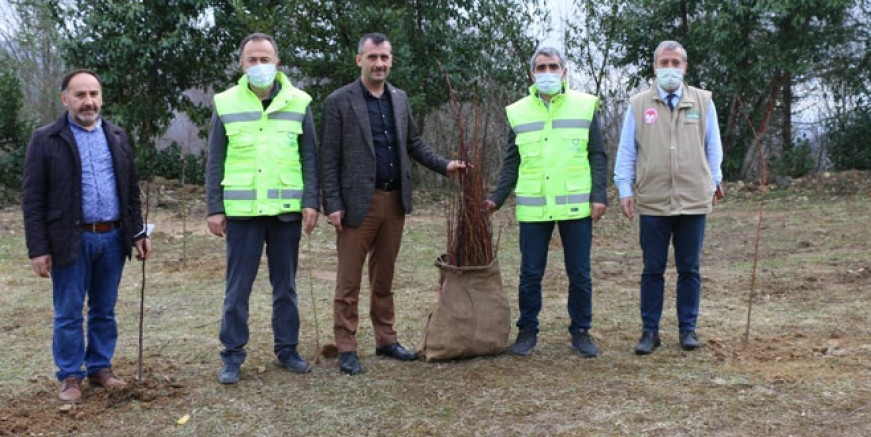 FİDANLAR TOPRAKLA BULUŞTU