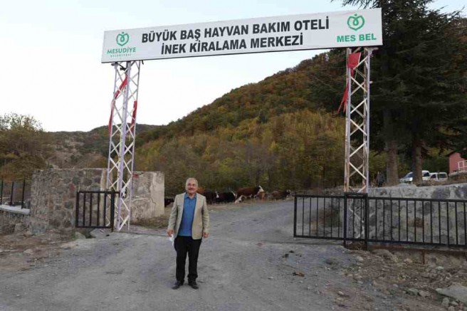 HAYVAN BAKIM OTELİ TALEBE YETİŞEMİYOR