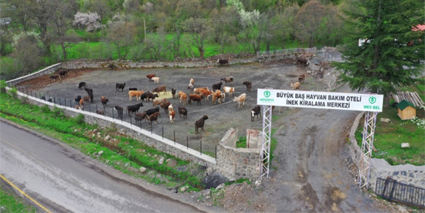 HAYVAN BESİCİLERİNİN GÖZLERİ ARKADA KALMIYOR
