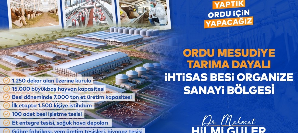 KARADENİZ’İN VE ORDU’NUN KADERİNİ DEĞİŞTİRECEK MEGA PROJE