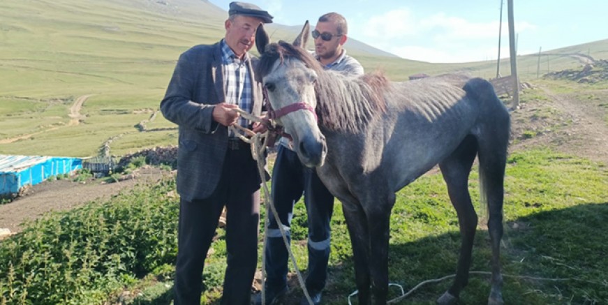 MAHSUR KALAN ATI HAYVAN AMBULANSI KURTARDI