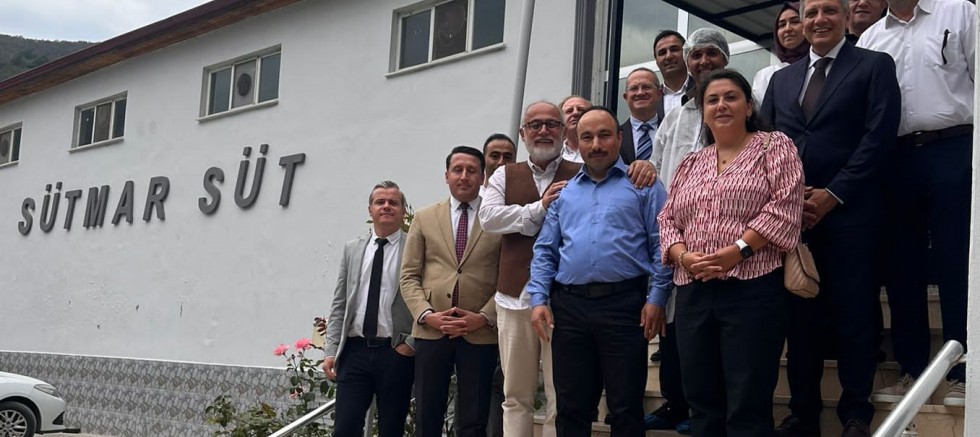 MARMARA VE İÇ ANADOLU ORDU PEYNİRİNİ SEVDİ 