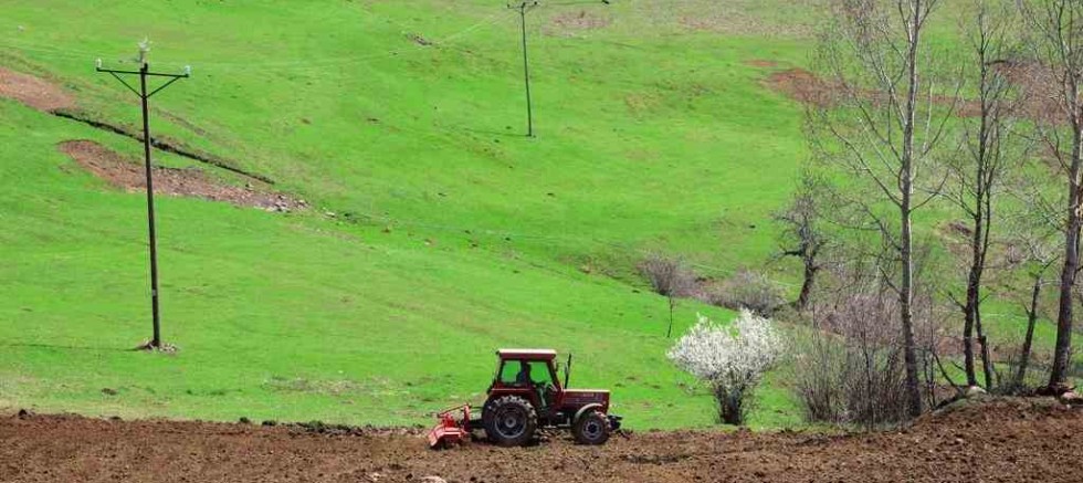  ORDU’DA 18 BİN DÖNÜM ATIL ARAZİ ÜRETİME KAZANDIRILDI