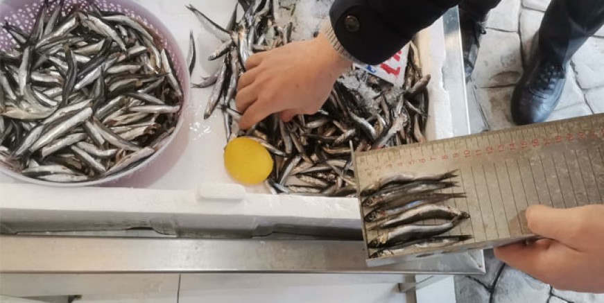 ORDU’DA BALIK TEZGAHLARI DENETLENİYOR