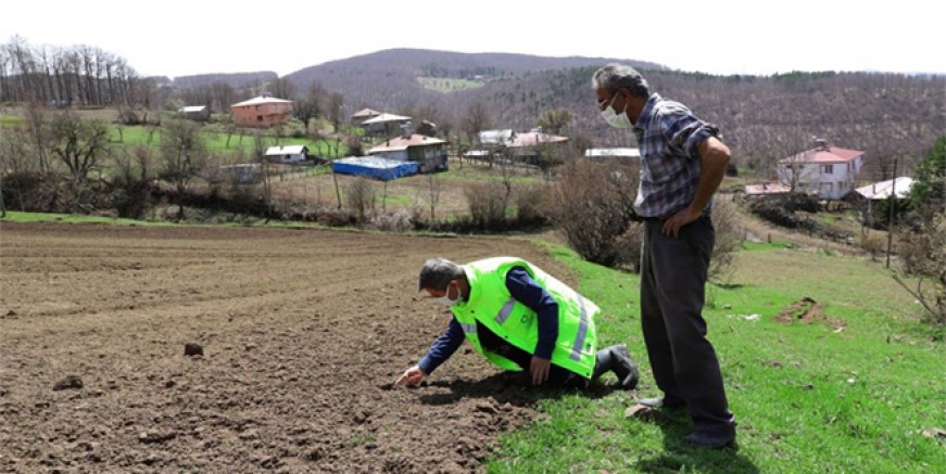 ORDU’NUN ATIL ARAZİLERİ YENİDEN TARIMLA BULUŞTU
