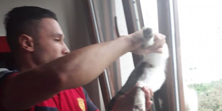 PENCEREYE SIKIŞAN KEDİYİ ORDU İTFAİYESİ KURTARDI 