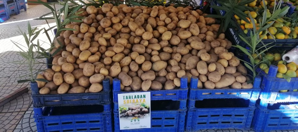 TARLADAN SOFRAYA YÜZDE 30 DAHA UCUZA